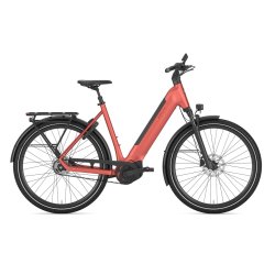 GAZELLE Ultimate C5+ L 28" S5