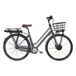 Raleigh Sussex E1 Dame 48cm 
