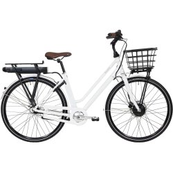 Raleigh Sussex E1 Dame 48cm 