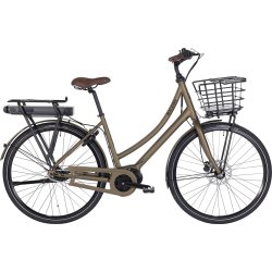 Raleigh Sussex E2 Dame 48cm 
