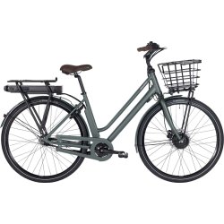 Raleigh Sussex E1 Dame 48cm 