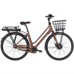 Raleigh Sussex E1 Dame 48cm 